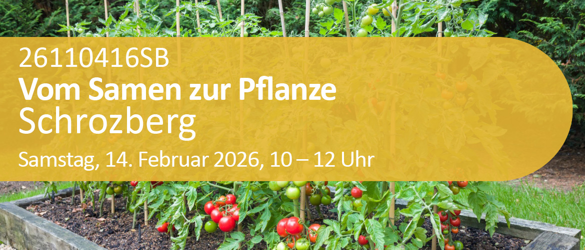 Vom Samen zur Pflanze Eigene Jungpflanzen ziehen