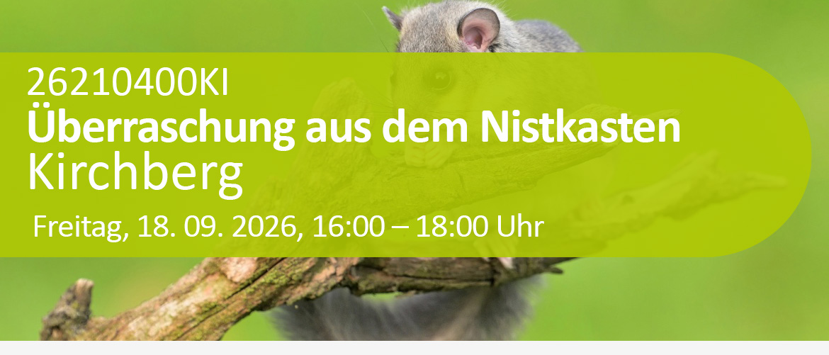 Überraschung aus dem Nistkasten - Ein Naturerlebnis für die ganze Familie