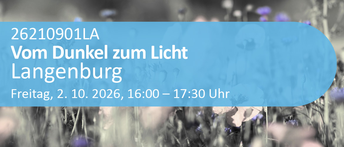 Vom Dunkel zum Licht Der Trauerweg auf dem Friedhof in Langenburg